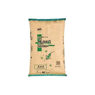 SAKI-HIKARI BALANCE (sinking) SS 20kg