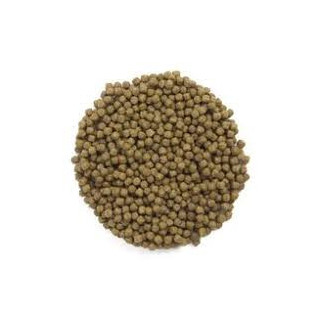 PRO-KOI WHEAT GERM 2kg - profesjonalny pokarm dla karpi koi na chłodniejsze dni
