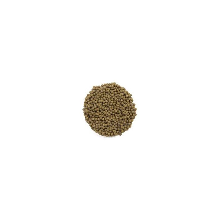 PRO-KOI WHEAT GERM 2kg - profesjonalny pokarm dla karpi koi na chłodniejsze dni