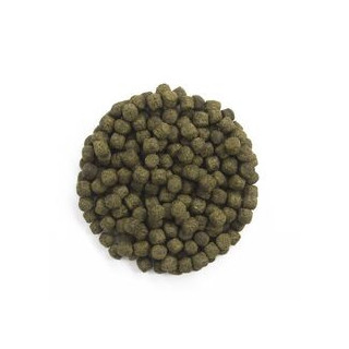 PRO-KOI SPIRULINA 2kg  - profesjonalny pokarm dla karpi koi wzmagający kondycję i wybarwienie.