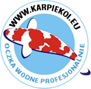 karpiekoi.pl